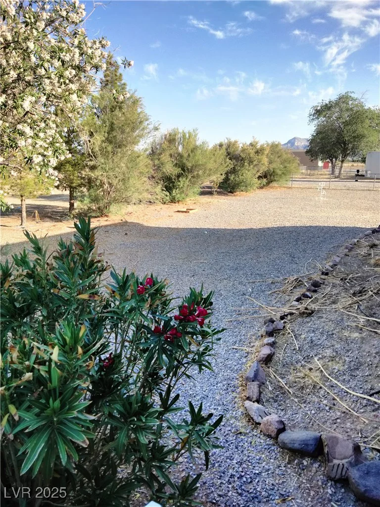 820 Luella, Pahrump, NV 89048