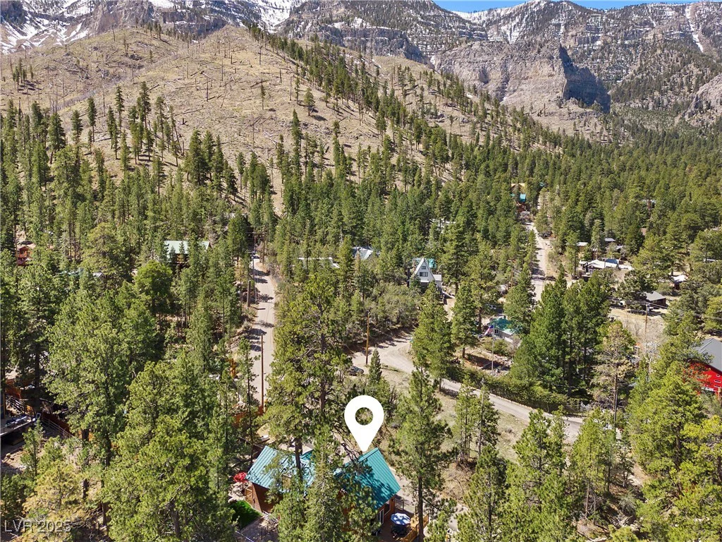 274 Ski Trail, Mount Charleston, NV 89124