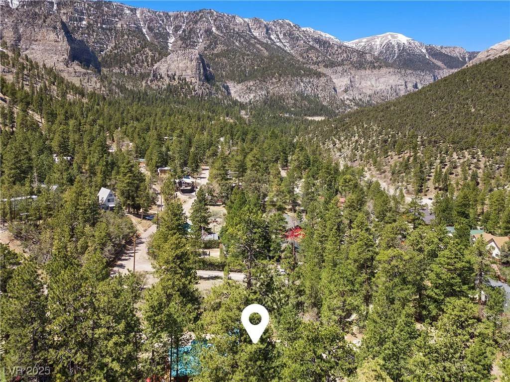 274 Ski Trail, Mount Charleston, NV 89124