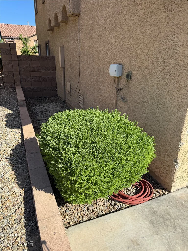 1155 Paradise Safari, Henderson, NV 89002