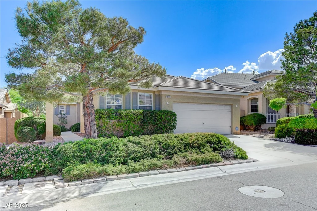 10389 Walking View, Las Vegas, NV 89135