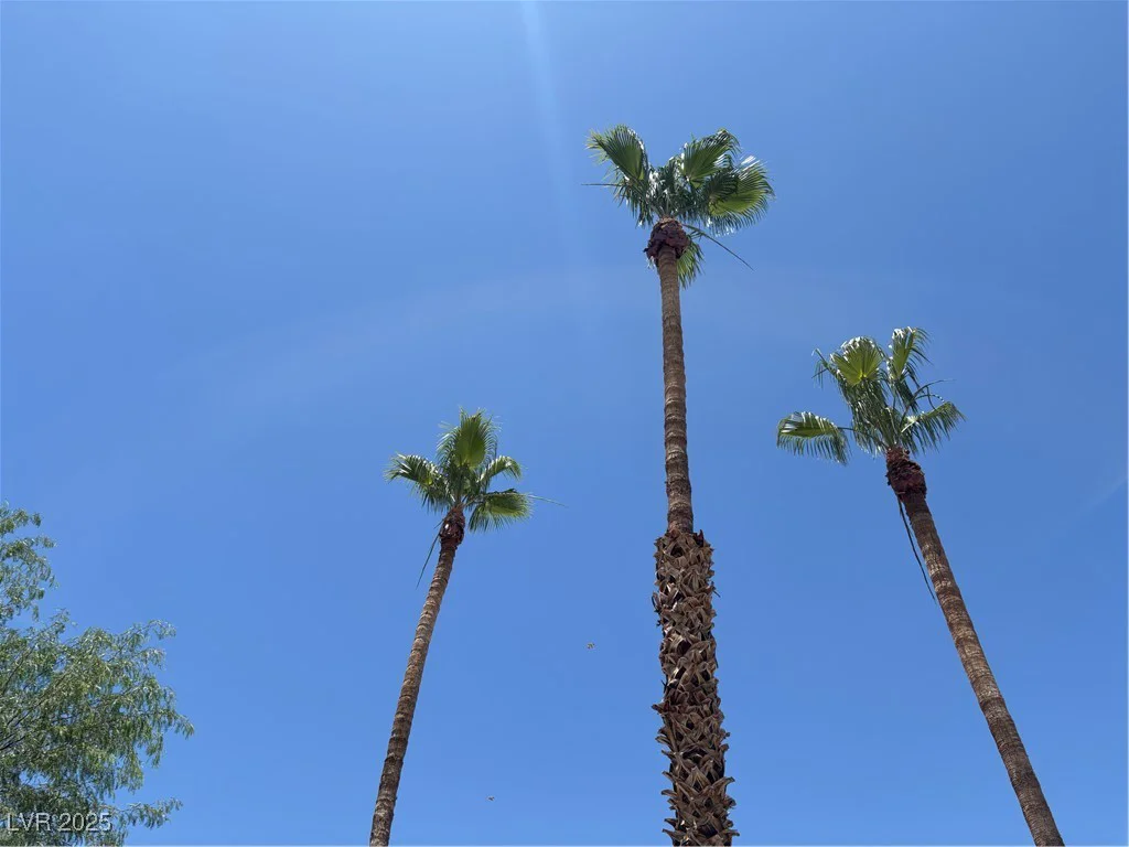 681 Pine Ridge, Las Vegas, NV 89110