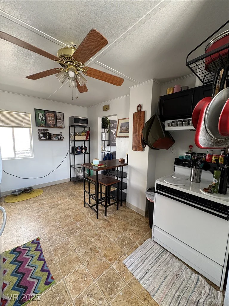 1003 Avenue G, Ely, NV 89301