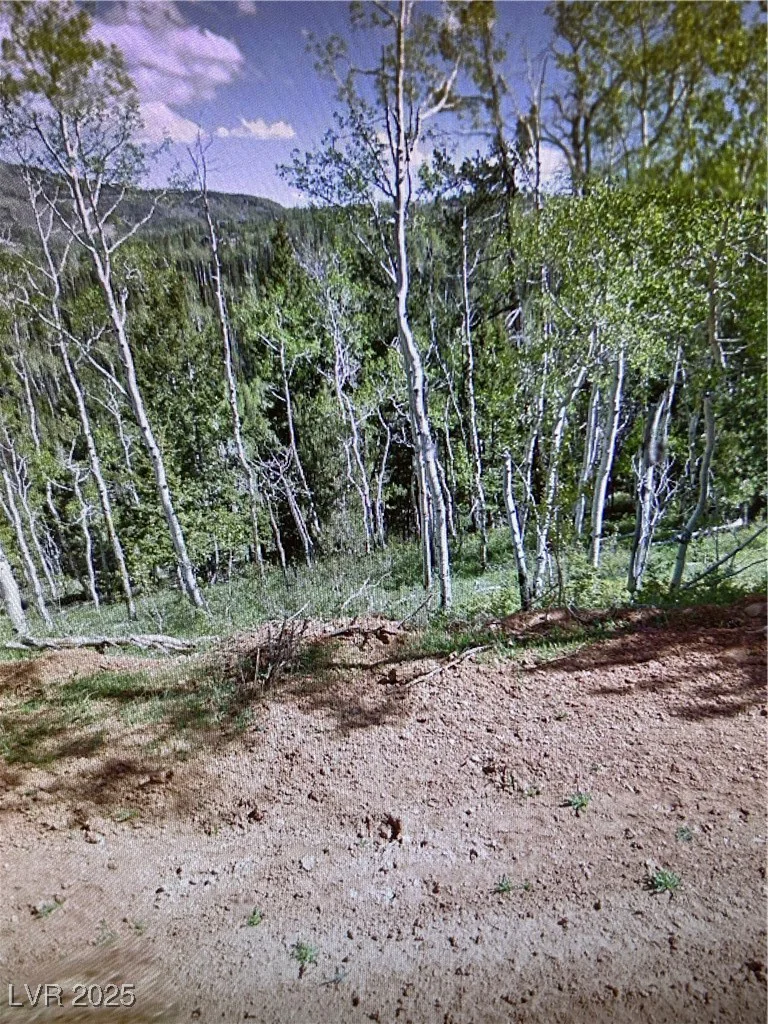 524 Ski View, Brian Head, UT 84719