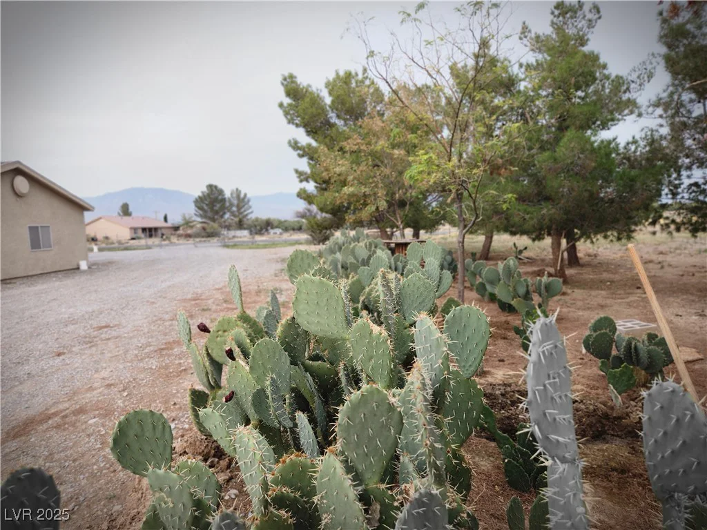 1930 Murphy, Pahrump, NV 89060