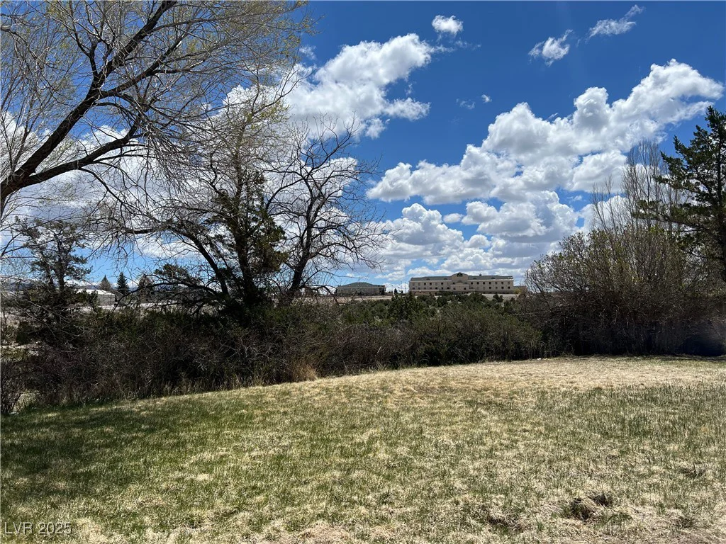 1 Cleave, Ely, NV 89301