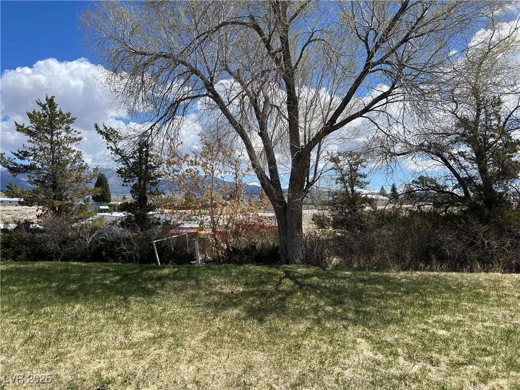 1 Cleave, Ely, NV 89301