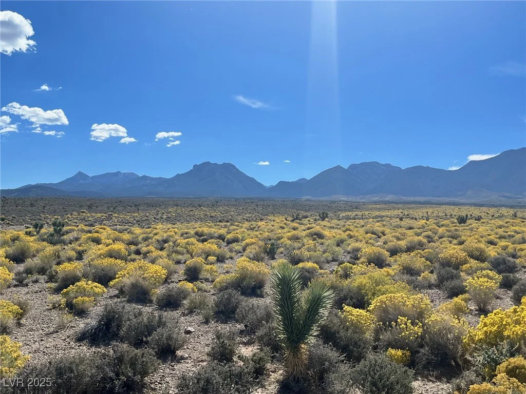 129 Rudin Dr, Las Vegas, NV 89124