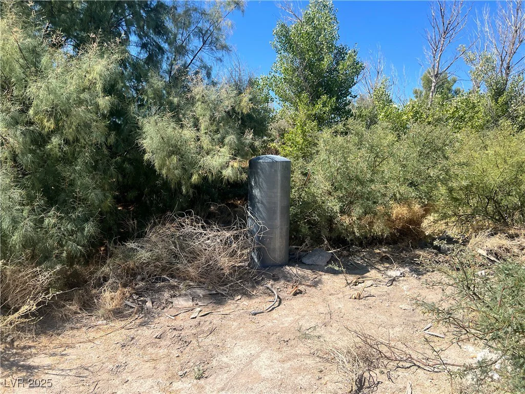 8230 Old Spanish, Pahrump, NV 89061