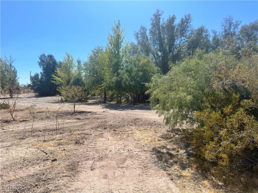 8230 Old Spanish, Pahrump, NV 89061
