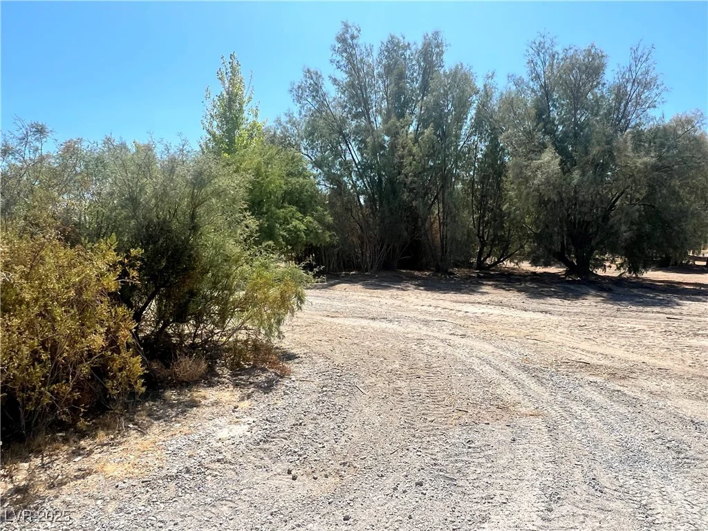 8230 Old Spanish, Pahrump, NV 89061