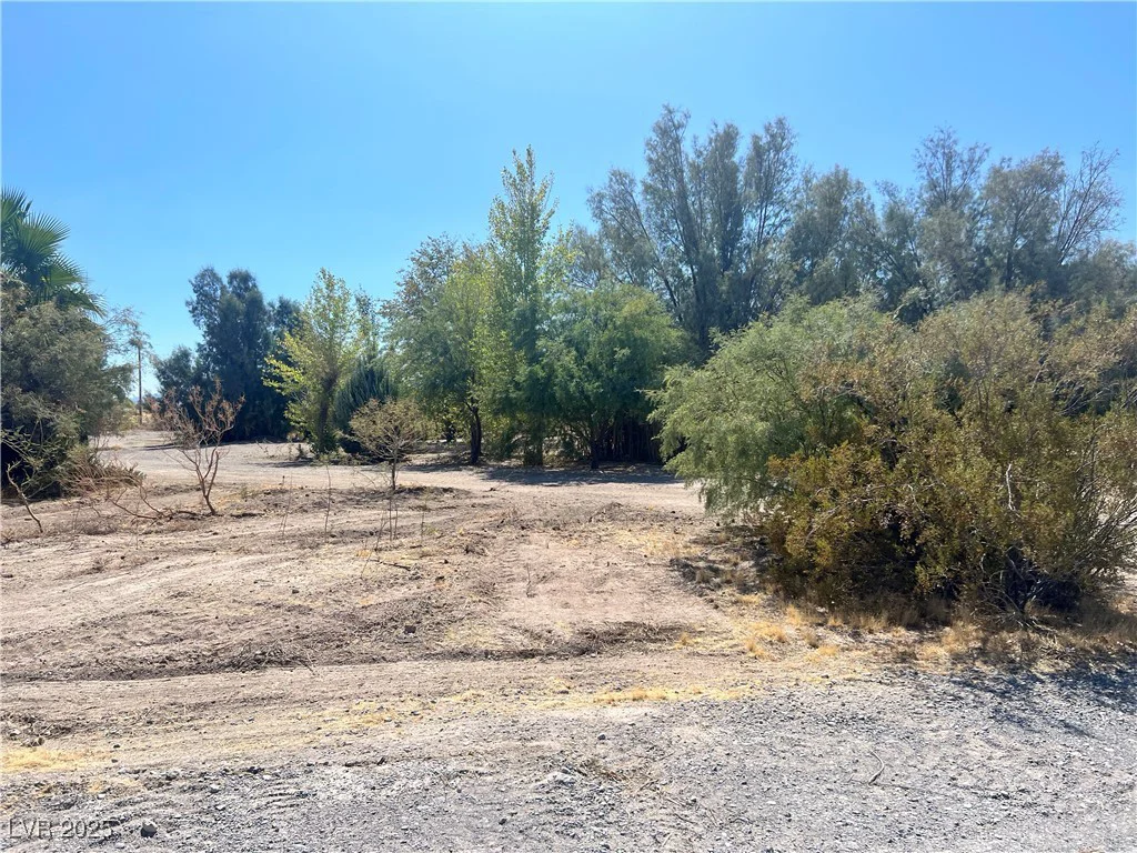 8230 Old Spanish, Pahrump, NV 89061