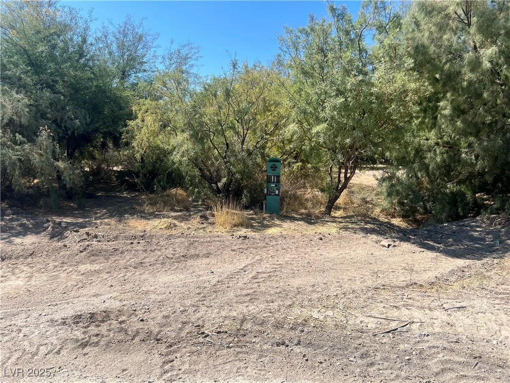 8230 Old Spanish, Pahrump, NV 89061