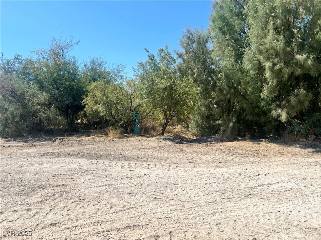 8230 Old Spanish, Pahrump, NV 89061