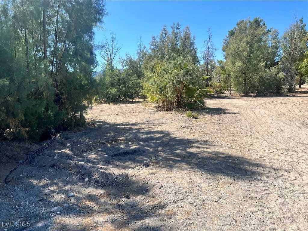 8230 Old Spanish, Pahrump, NV 89061