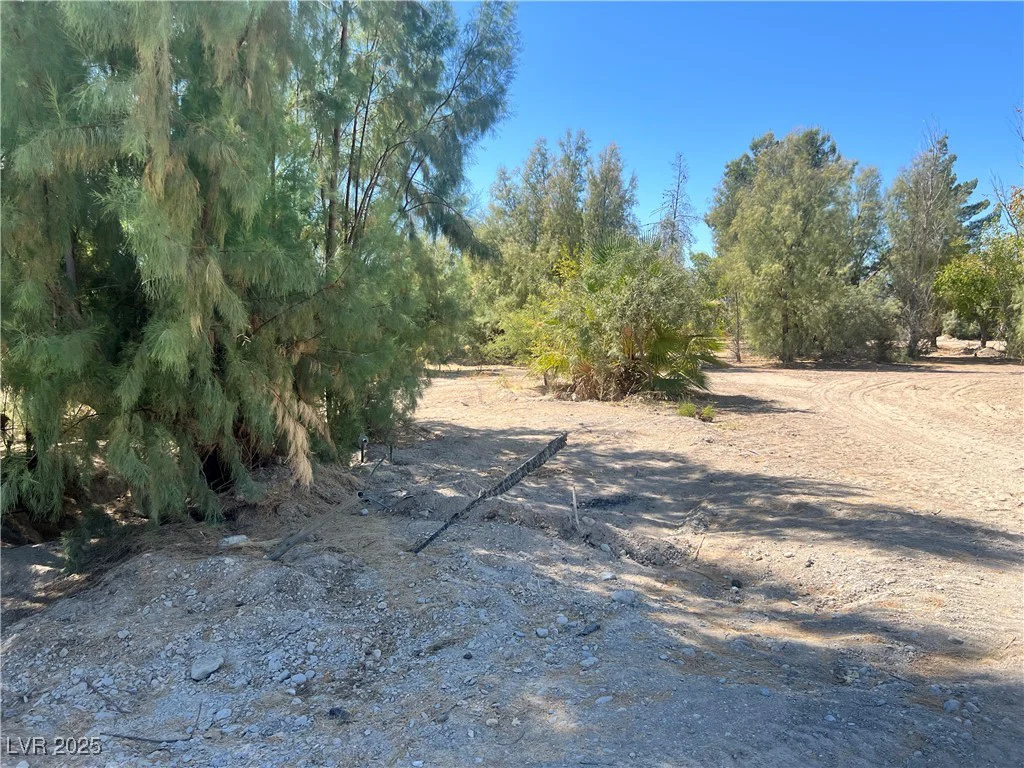 8230 Old Spanish, Pahrump, NV 89061