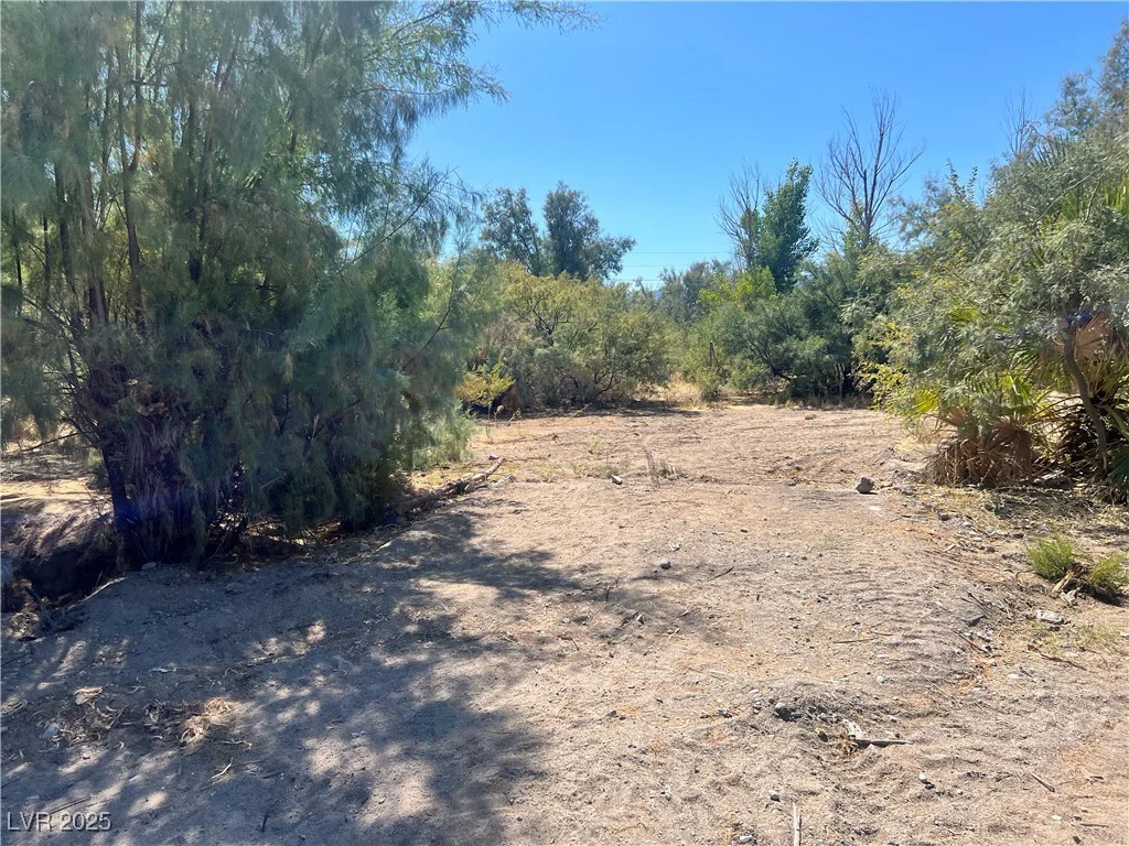 8230 Old Spanish, Pahrump, NV 89061