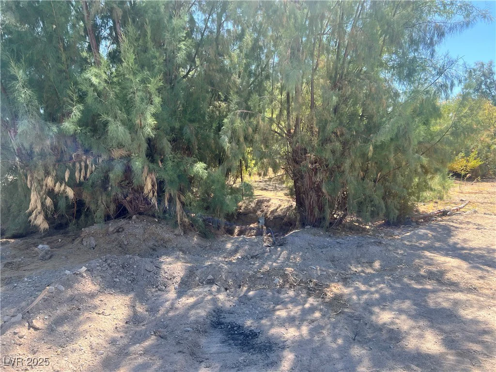 8230 Old Spanish, Pahrump, NV 89061