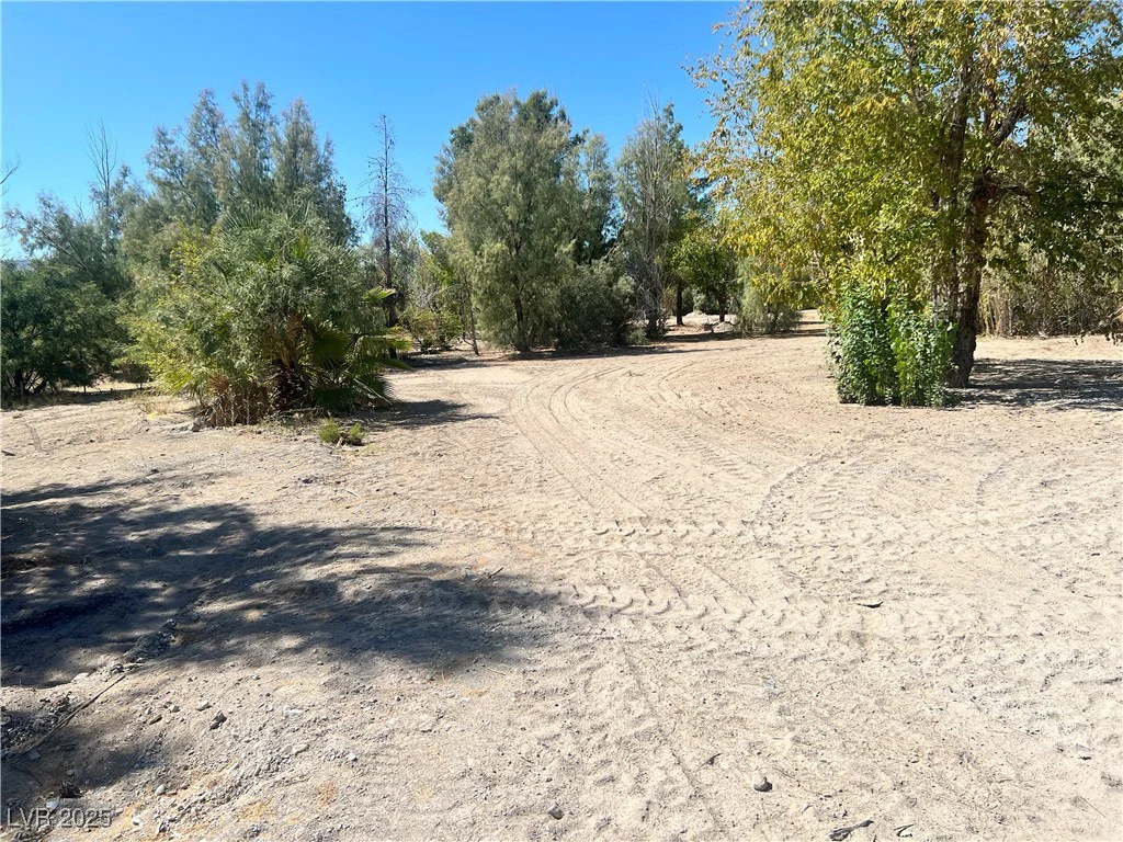 8230 Old Spanish, Pahrump, NV 89061