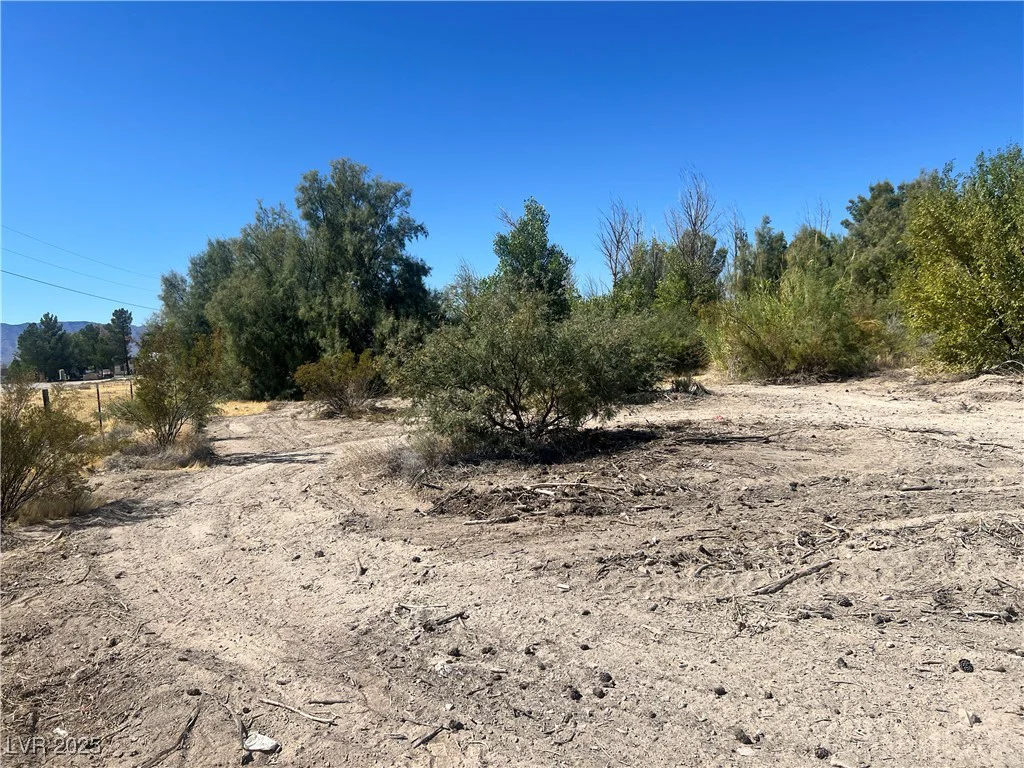 8230 Old Spanish, Pahrump, NV 89061