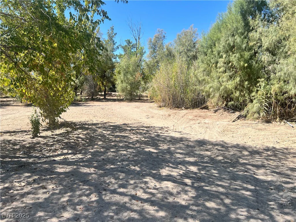 8230 Old Spanish, Pahrump, NV 89061