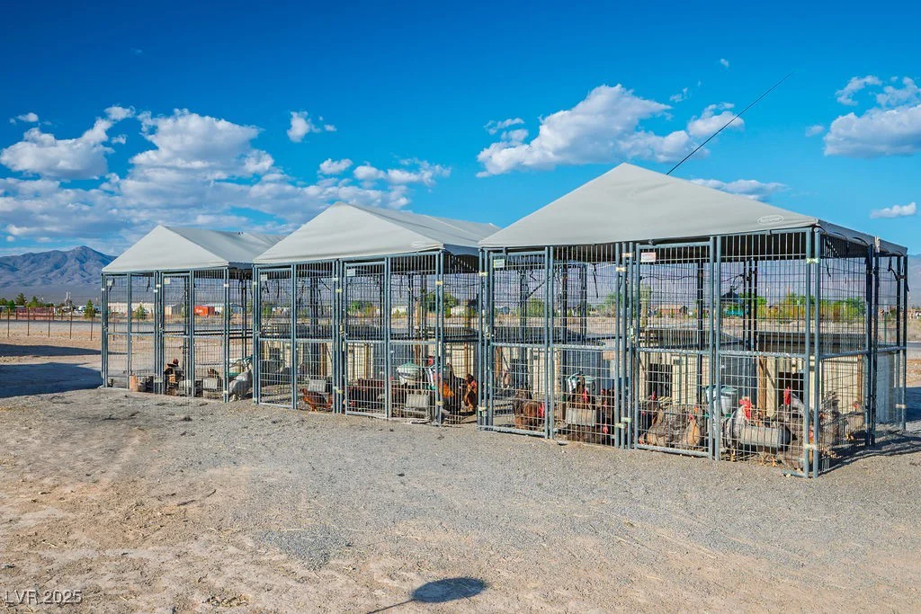 3031 Susan, Pahrump, NV 89060