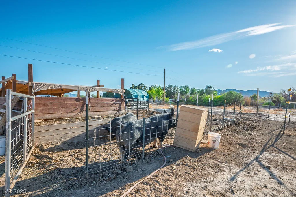 3031 Susan, Pahrump, NV 89060