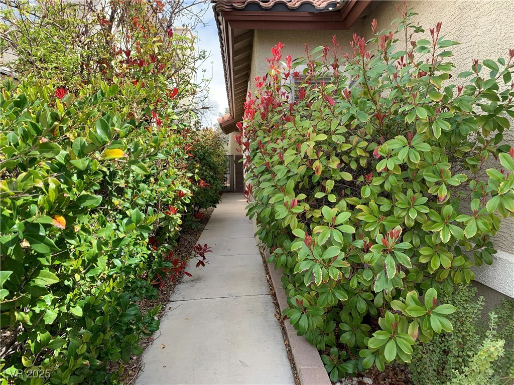 9236 Canalino, Las Vegas, NV 89134