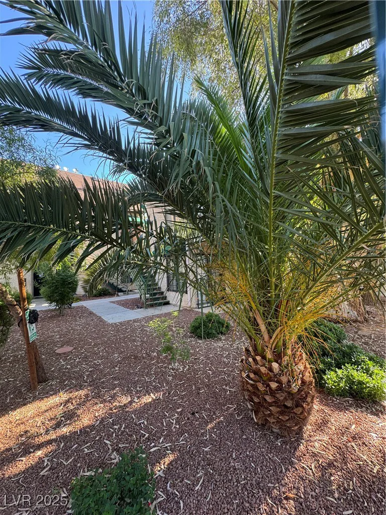 520 Elm, Las Vegas, NV 89169