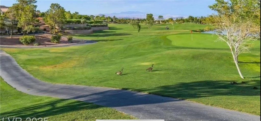 439 Pelican Bay, Henderson, NV 89012