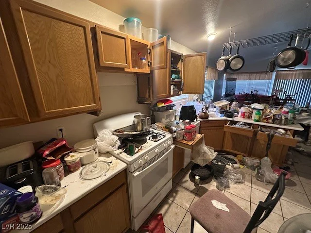 1409 Velvet Leaf, North Las Vegas, NV 89032