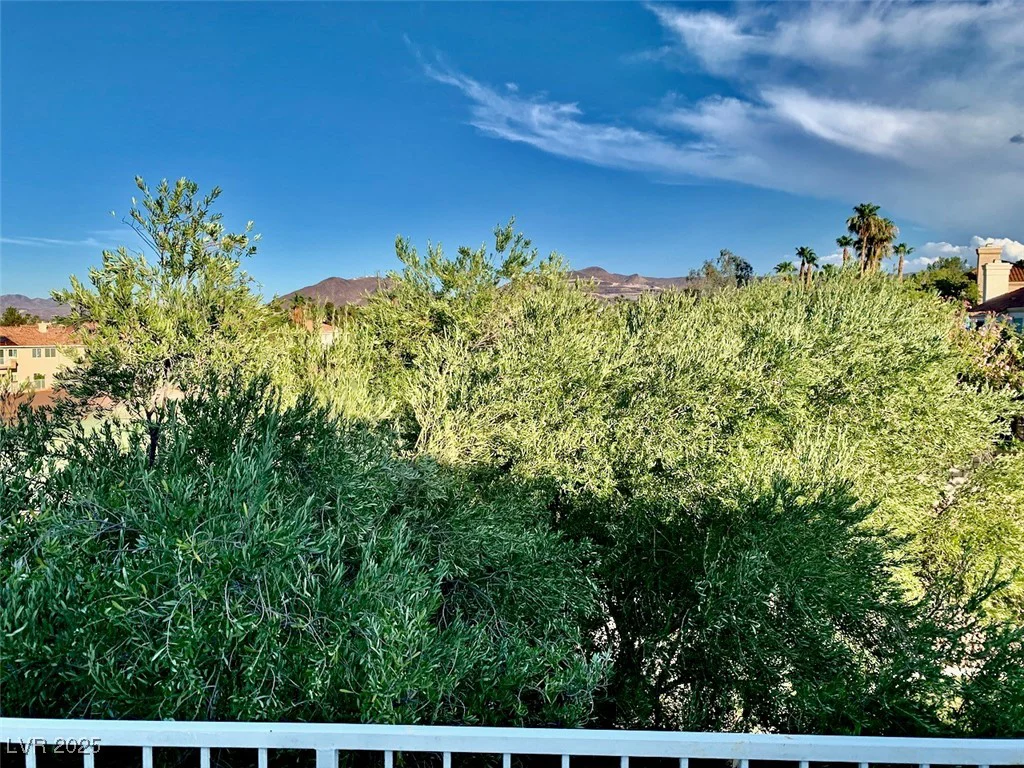 1915 Hazeltine, Henderson, NV 89074