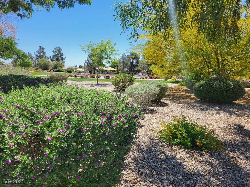 8247 Oasis Bloom, North Las Vegas, NV 89085