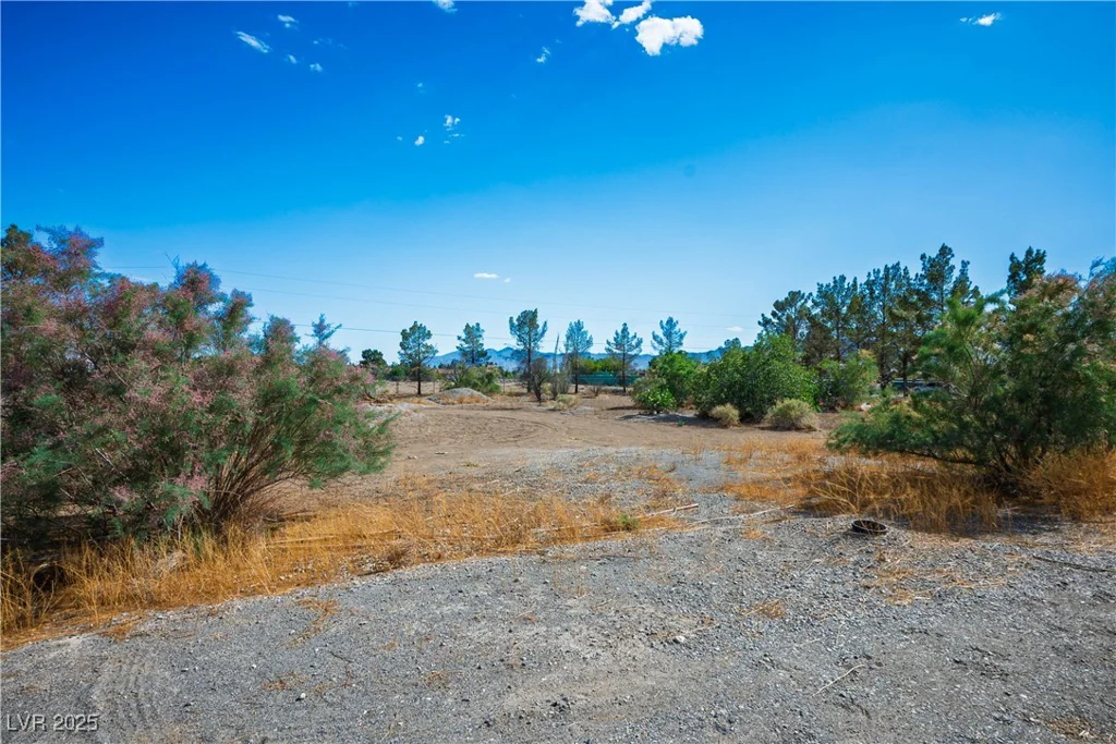 1351 Fawn, Pahrump, NV 89048