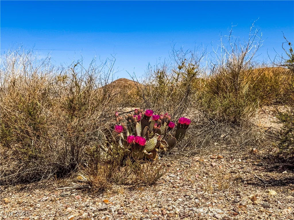 120 Old Spanish Trail, Other, CA 92389