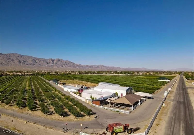 8836 Martin Downs, Las Vegas, NV 89131