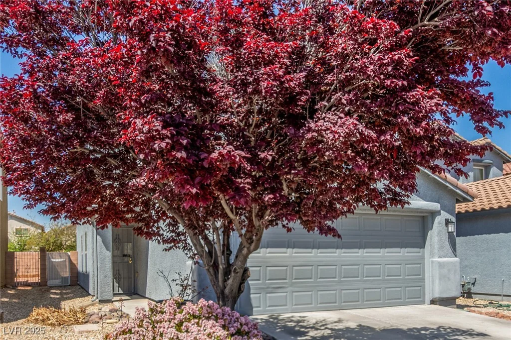 11739 Village Arbor, Las Vegas, NV 89183
