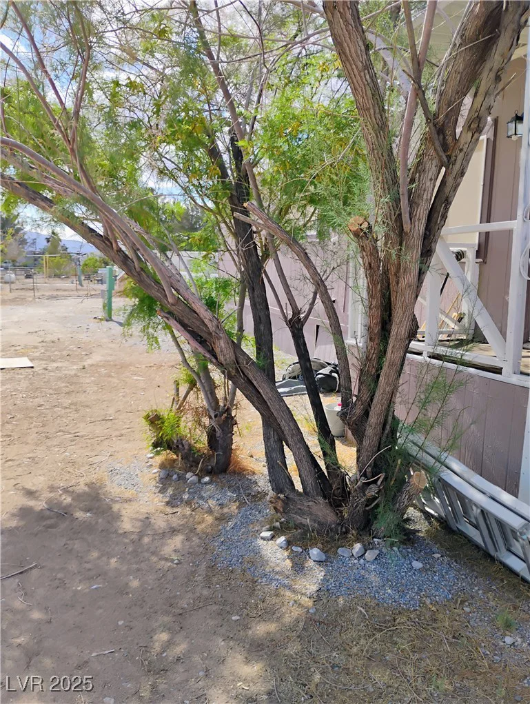 1701 Santovito, Pahrump, NV 89048