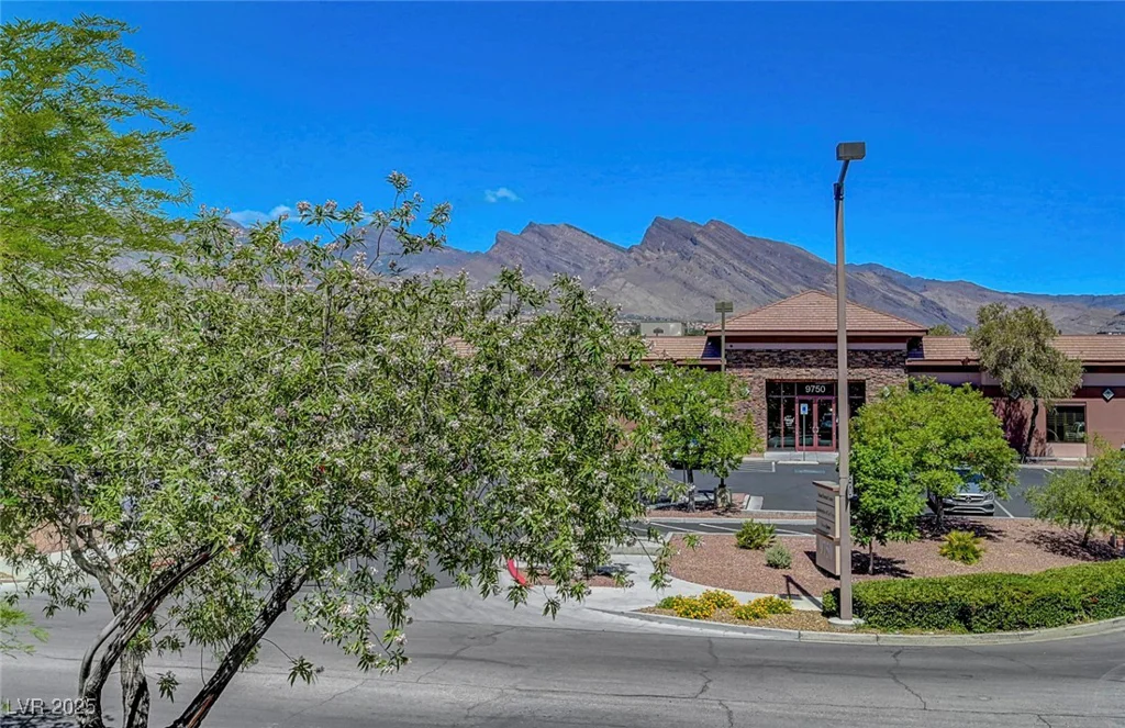 1001 Domnus, Las Vegas, NV 89144