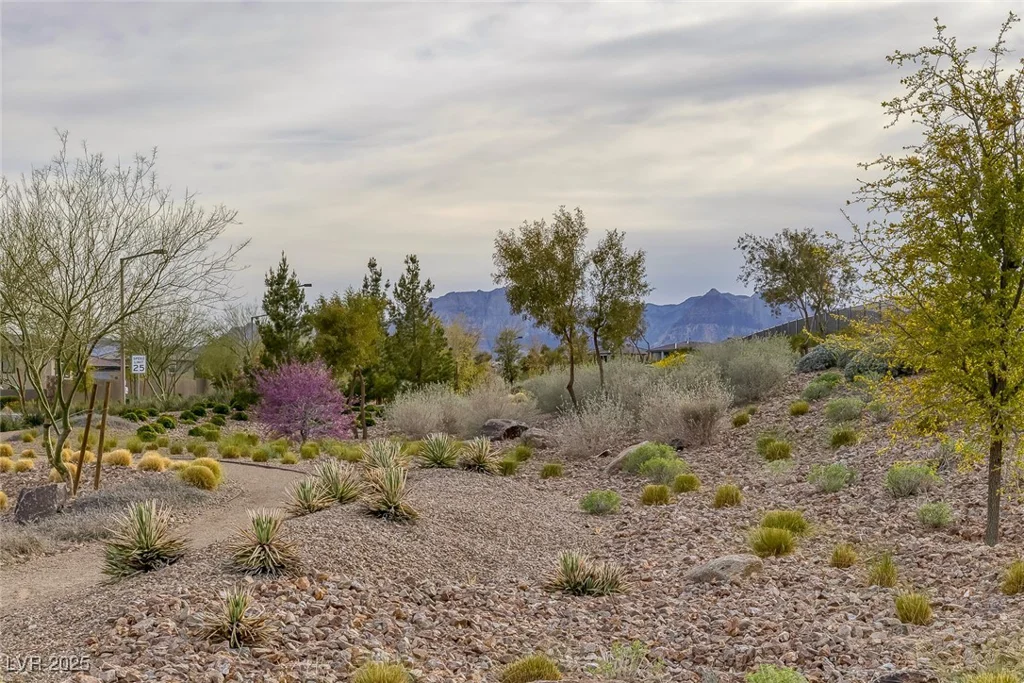 180 Native Stone, Las Vegas, NV 89138