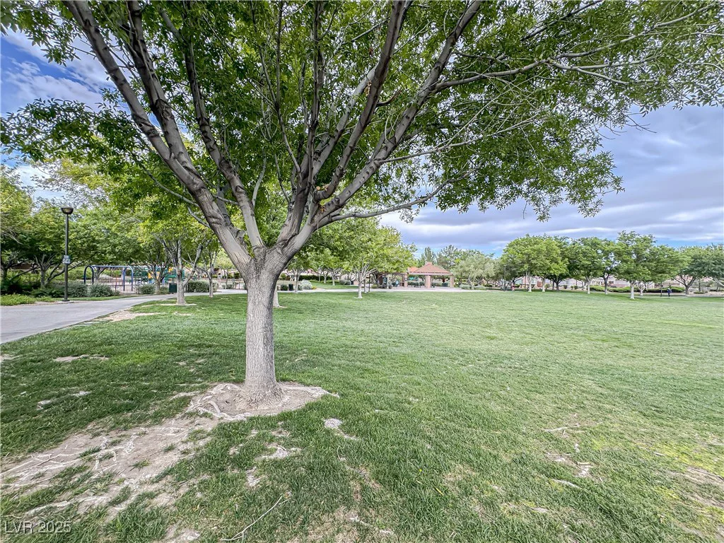 3476 Ridge Meadow, Las Vegas, NV 89135