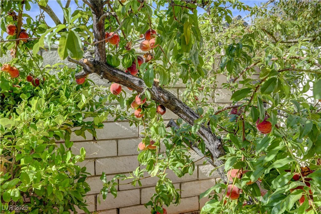 2440 Ping, Henderson, NV 89074