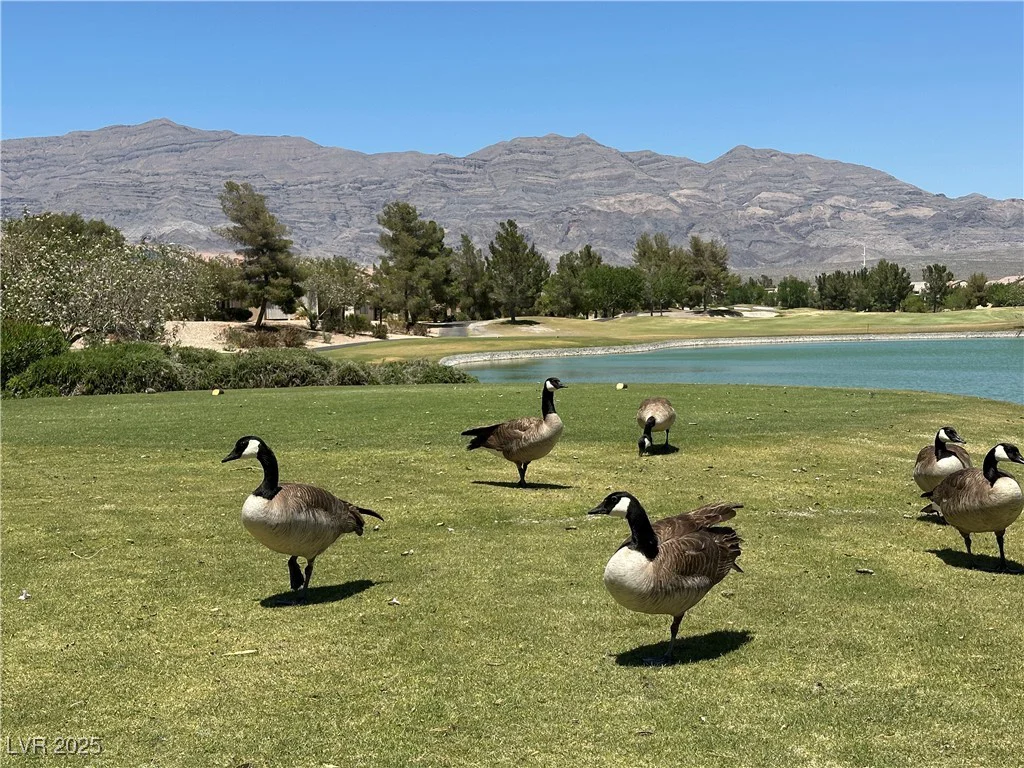 7669 Fieldfare, North Las Vegas, NV 89084