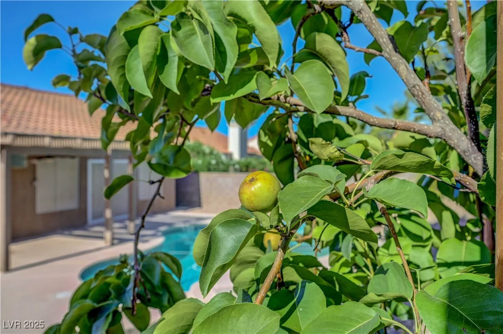 2711 Briarcliff, Henderson, NV 89074
