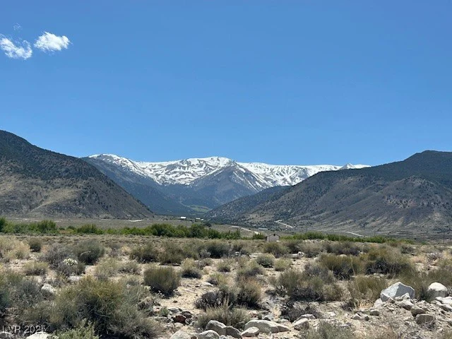 1330 WILD HORSE RUN, Dyer, NV 89010