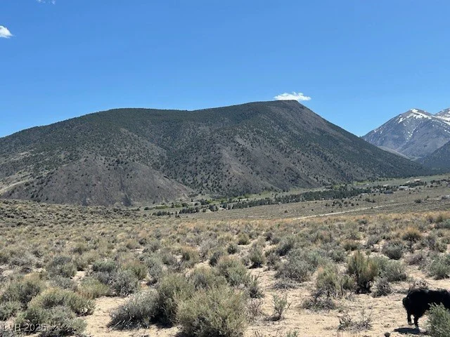 1330 WILD HORSE RUN, Dyer, NV 89010