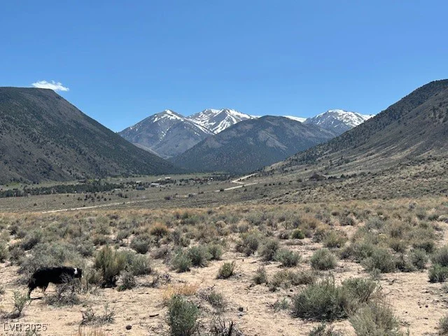1330 WILD HORSE RUN, Dyer, NV 89010