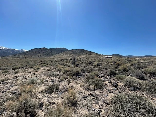 1330 WILD HORSE RUN, Dyer, NV 89010