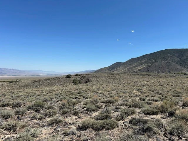 1330 WILD HORSE RUN, Dyer, NV 89010