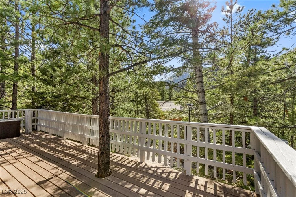 5230 Whispering Robin, Mount Charleston, NV 89124